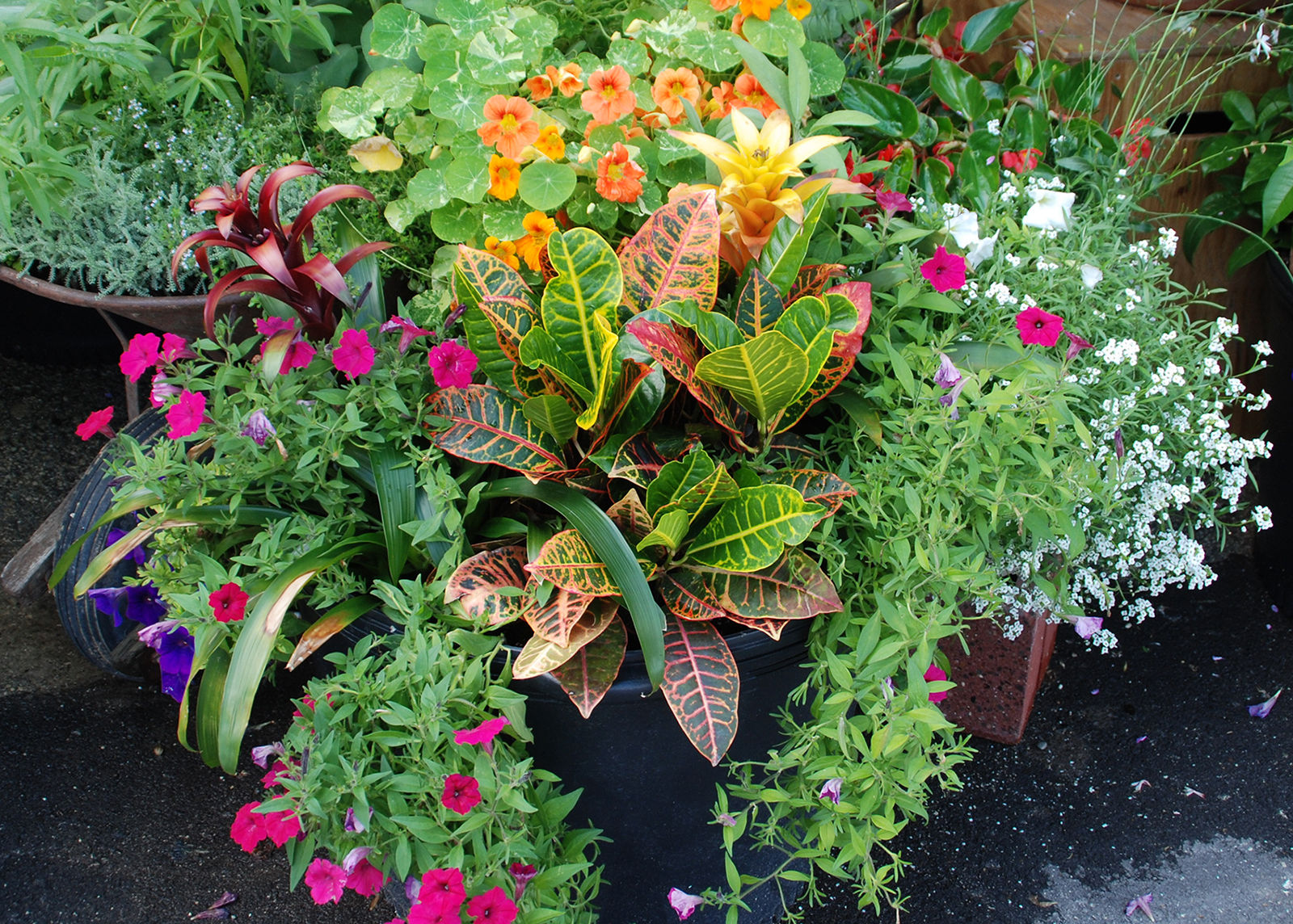 Take the hassle out of watering container gardens